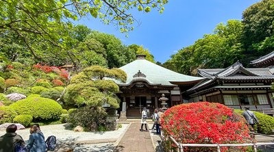 🌸 등각원 (토가쿠인)